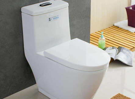 天津武清区马桶疏通小知识