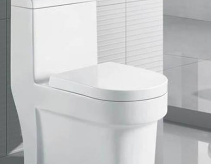 天津武清区马桶疏通哪家好